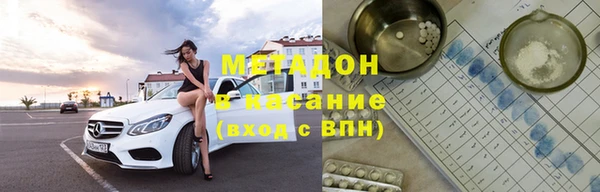 прущие грибы Горно-Алтайск