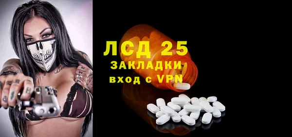 прущие грибы Горно-Алтайск