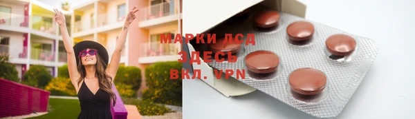 прущие грибы Горно-Алтайск