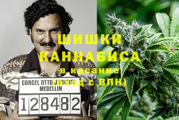 мет Лагань