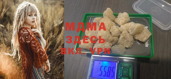 прущие грибы Горно-Алтайск