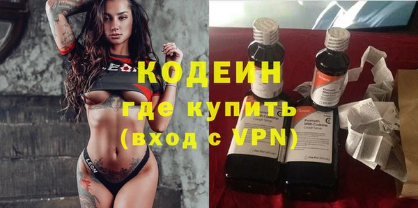 прущие грибы Горно-Алтайск
