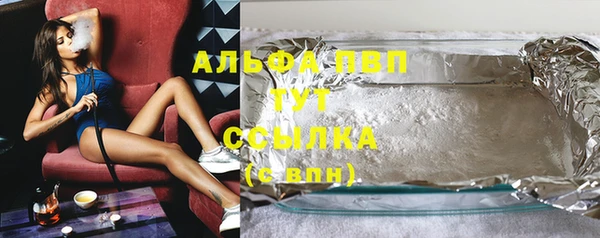 прущие грибы Горно-Алтайск