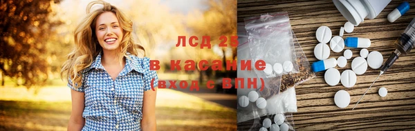 прущие грибы Горно-Алтайск