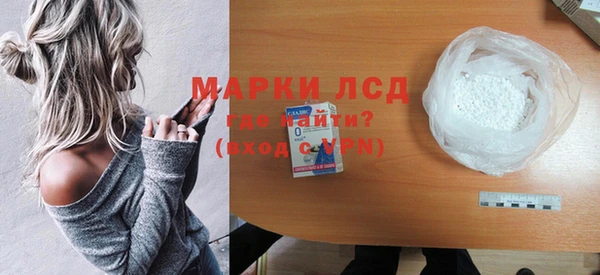 прущие грибы Горно-Алтайск