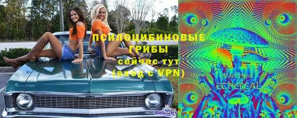 PSILOCYBIN Горнозаводск