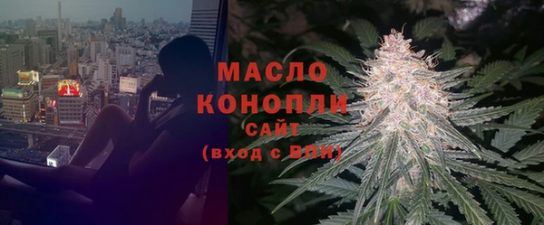 прущие грибы Горно-Алтайск
