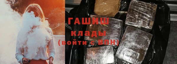 прущие грибы Горно-Алтайск