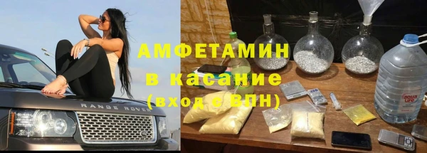 прущие грибы Горно-Алтайск