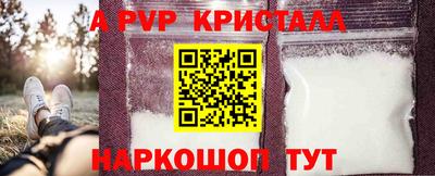 спиды Донской