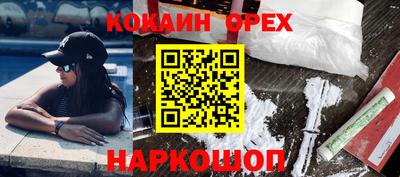 крисы Дубна