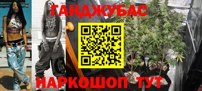 шишки Заволжье