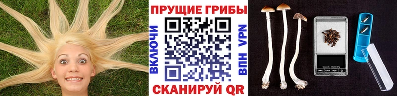 Псилоцибиновые грибы Magic Shrooms Междуреченск