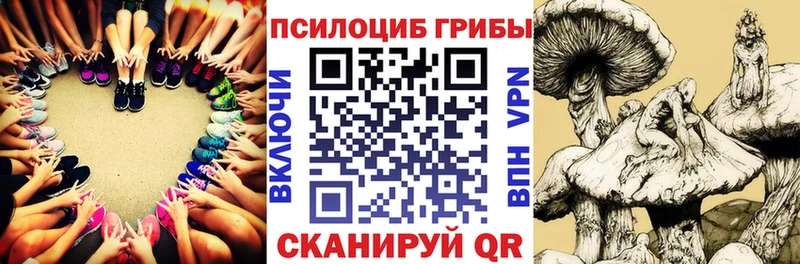 Галлюциногенные грибы прущие грибы  купить наркотик  Междуреченск 
