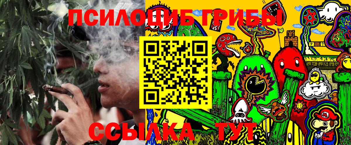 Галлюциногенные грибы Psilocybine cubensis  Междуреченск 